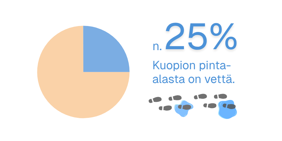 Noin 25 prosenttia Kuopion pinta-alasta on vettä.