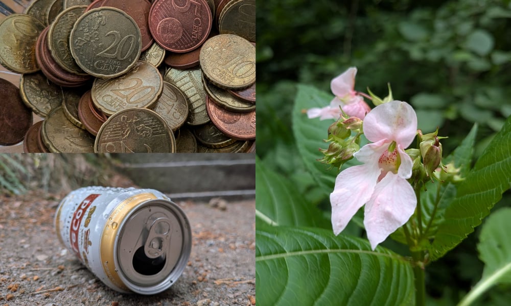 Didn’t get a summer job? Here are some ways to earn pocket money – sometimes even more (part 1/2)
