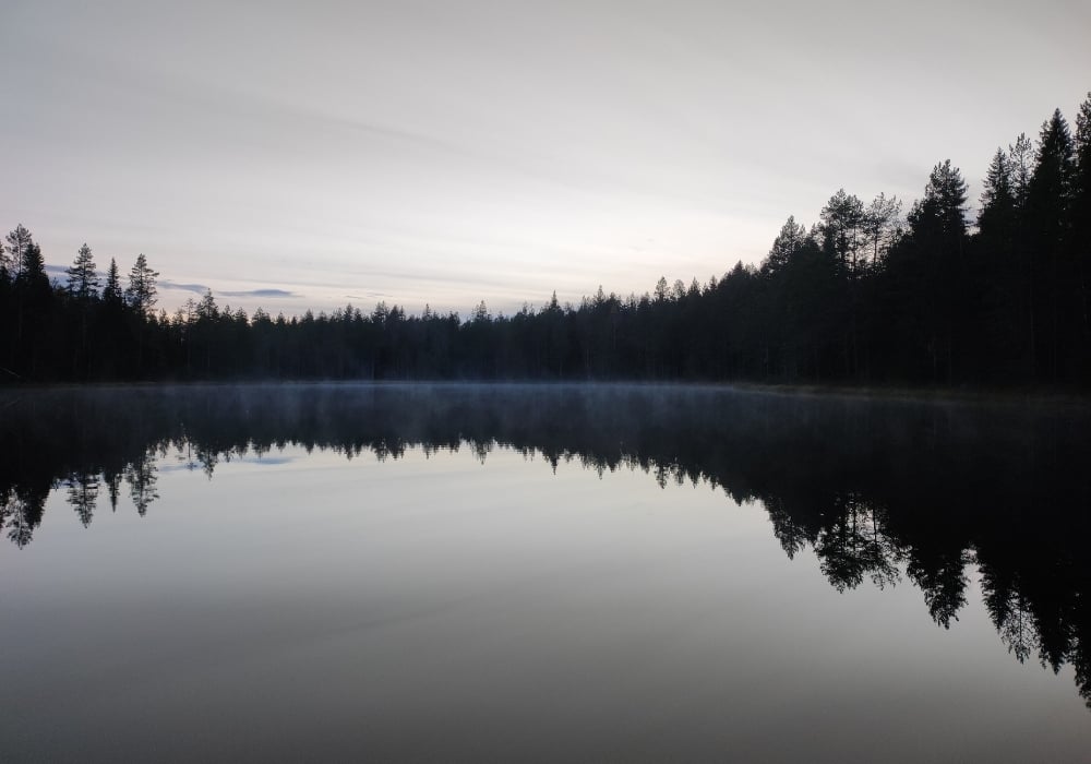 Kuvassa metsälampi hyvin myöhäisenä kesäiltana