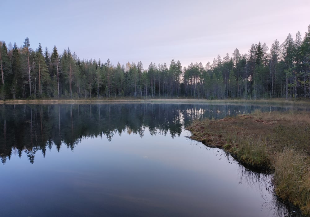 Kuvassa metsälampi ilta-auringossa kesällä