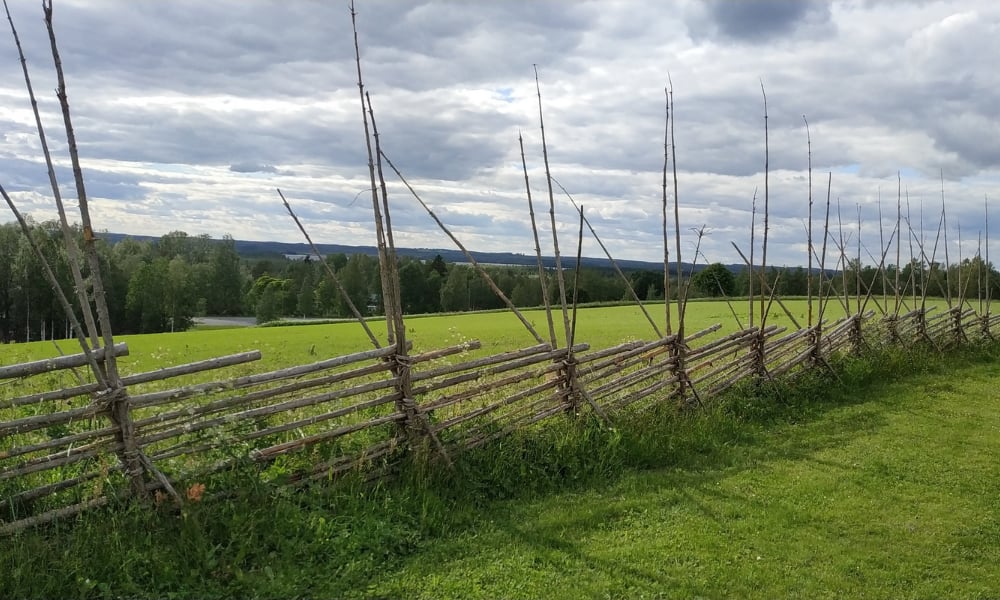 Kuvassa maalaismaisema ja pistoaitaa